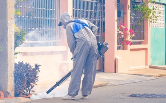 Fumigation Services